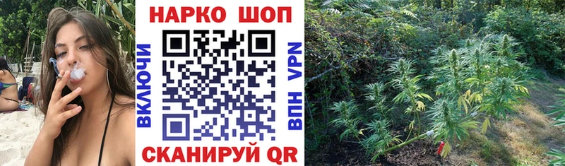 Какие есть наркотики Инза ГАШИШ БУТИРАТ Меф мяу мяу Псилоцибиновые грибы КОКАИН МАРИХУАНА АМФЕТАМИН